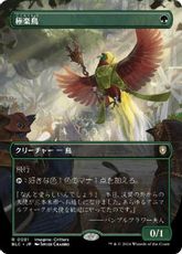 【Foil】(081)■ボーダーレス■《極楽鳥/Birds of Paradise》[BLC] 緑R