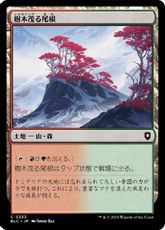 (353)《樹木茂る尾根/Wooded Ridgeline》[BLC] 土地C