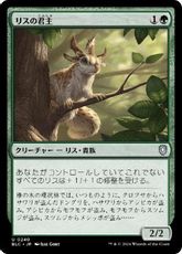 (240)《リスの君主/Squirrel Sovereign》[BLC] 緑U