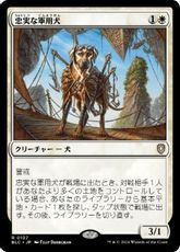 (107)《忠実な軍用犬/Loyal Warhound》[BLC] 白R