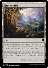 (302)《進化する未開地/Evolving Wilds》[BLC] 土地C