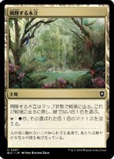 (347)《興隆する木立/Thriving Grove》[BLC] 土地C