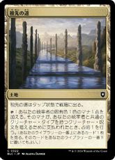 (322)《祖先の道/Path of Ancestry》[BLC] 土地C