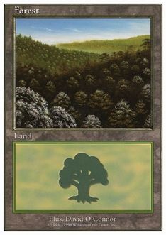 《森/Forest》(A)[BRB] 土地