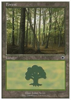 《森/Forest》(C)[BRB] 土地