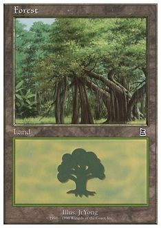 《森/Forest》(H)[BRB] 土地