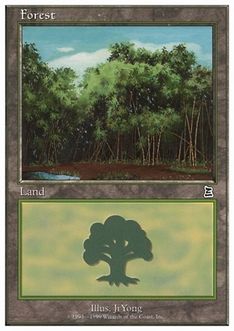 《森/Forest》(I)[BRB] 土地