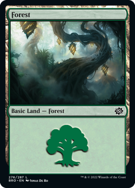 (276)《森/Forest》[BRO] 土地