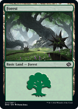 (277)《森/Forest》[BRO] 土地