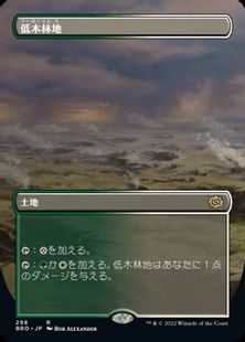 【Foil】(298)■ボーダーレス■《低木林地/Brushland》[BRO-BF] 土地R