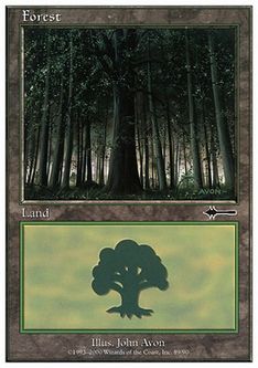(089)《森/Forest》[BTD] 土地
