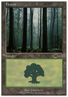 (090)《森/Forest》[BTD] 土地