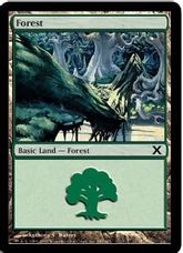 【Foil】(380)《森/Forest》[10ED] 土地