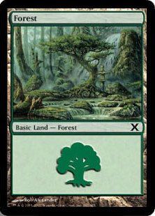 Foil】(382)《森/Forest》[10ED] 土地 | 日本最大級 MTG通販サイト 