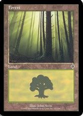 【Foil】(347)《森/Forest》[INV] 土地