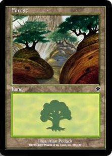 (349)《森/Forest》[INV] 土地