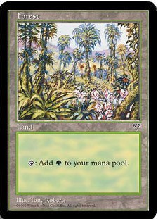 ミラージュ/基本土地の商品検索 | 日本最大級 MTG通販サイト 