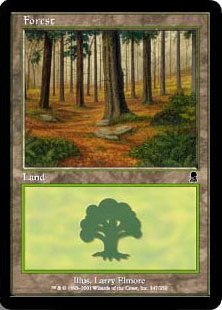 (347)《森/Forest》[ODY] 土地