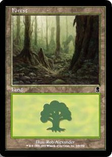 【Foil】(348)《森/Forest》[ODY] 土地