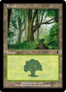 (350)《森/Forest》[ODY] 土地