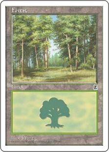 (179)《森/Forest》[PTK] 土地