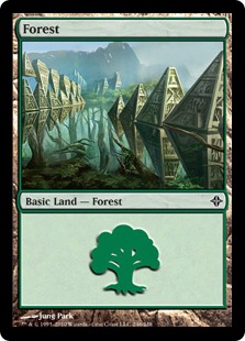 (246)《森/Forest》[ROE] 土地
