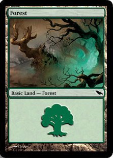 (300)《森/Forest》[SHM] 土地