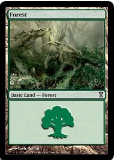 【Foil】(300)《森/Forest》[TSP] 土地