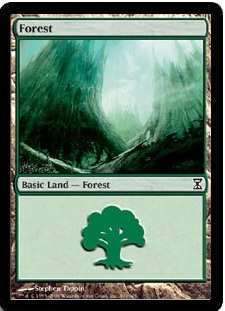 (301)《森/Forest》[TSP] 土地