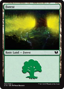 (341)《森/Forest》[C15] 土地