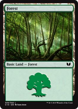 (339)《森/Forest》[C15] 土地