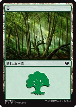 (339)《森/Forest》[C15] 土地