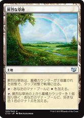 《鮮烈な草地/Vivid Meadow》[C15] 土地U