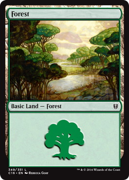 (349)《森/Forest》[C16] 土地