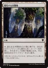 《進化する未開地/Evolving Wilds》[C17] 土地C