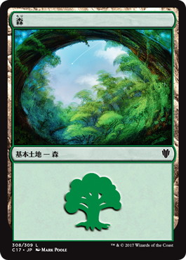(308)《森/Forest》[C17] 土地