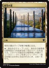 《祖先の道/Path of Ancestry》[C17] 土地C