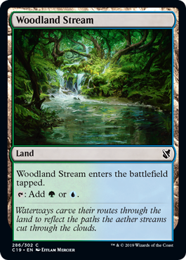 《森林地の小川/Woodland Stream》[C19] 土地C