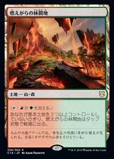 《燃えがらの林間地/Cinder Glade》[C19] 土地R