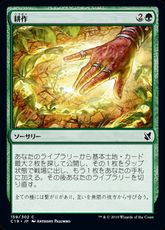 《耕作/Cultivate》[C19] 緑C