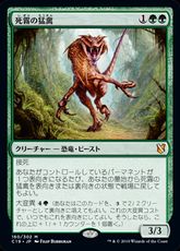 《死霧の猛禽/Deathmist Raptor》[C19] 緑R