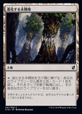 《進化する未開地/Evolving Wilds》[C19] 土地C