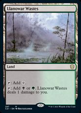 (297)《ラノワールの荒原/Llanowar Wastes》[C21] 土地R