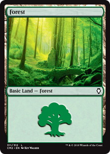 (311)《森/Forest》[CM2] 土地