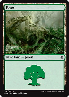 (316)《森/Forest》[CMA17] 土地