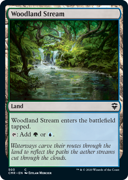 (503)《森林地の小川/Woodland Stream》[CMR] 土地C