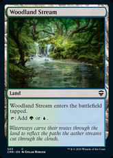 (503)《森林地の小川/Woodland Stream》[CMR] 土地C