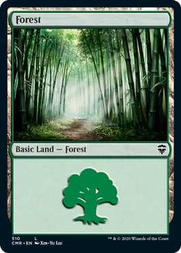 (510)《森/Forest》[CMR] 土地
