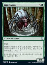 【Foil】(258)《棘投げの蜘蛛/Stingerfling Spider》[CMR] 緑U