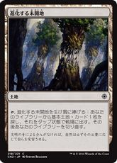 《進化する未開地/Evolving Wilds》[CN2] 土地C